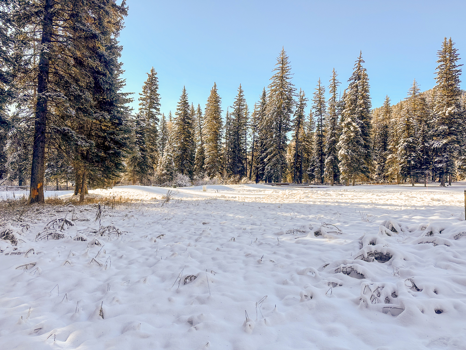 snowy field on Lot 82