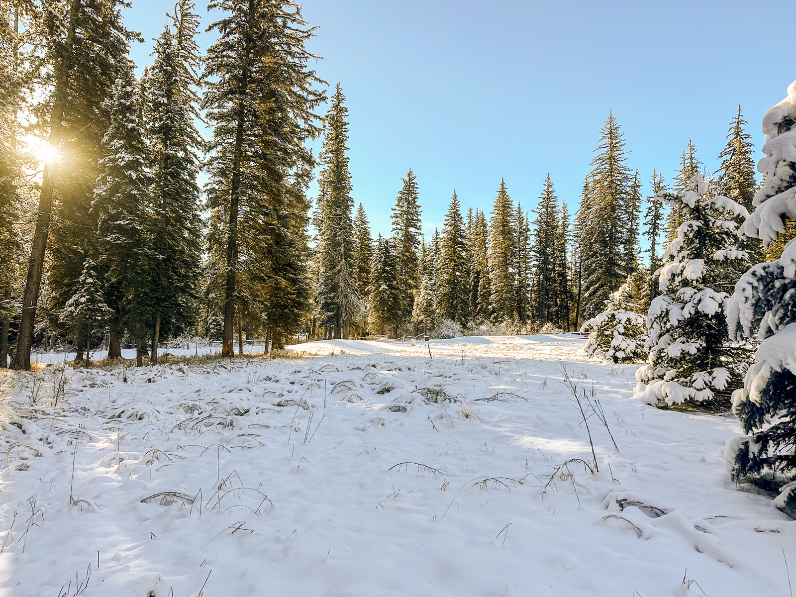 lot for sale in Wyoming