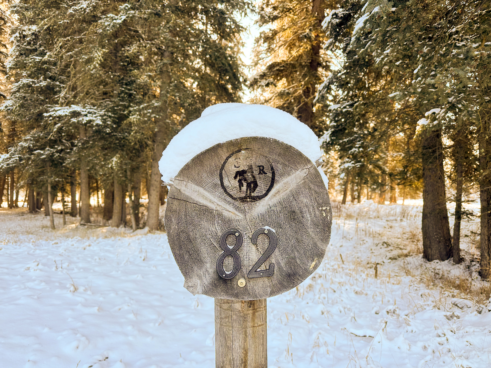 wooden sign with number 82