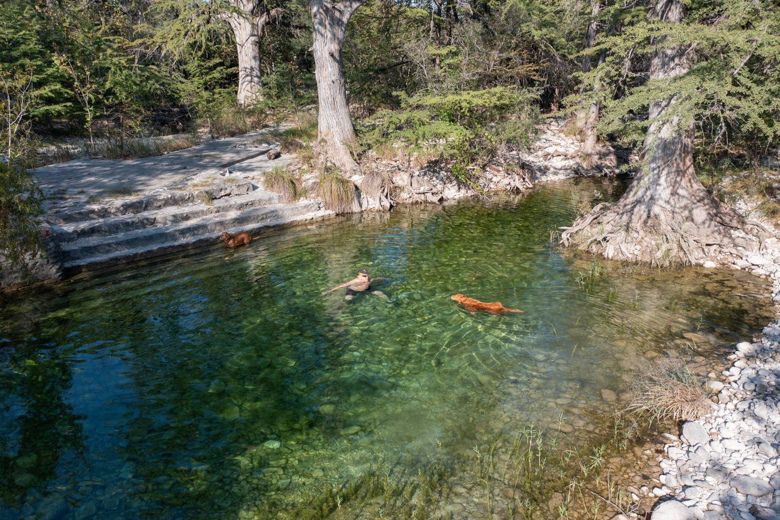 swimming in the river