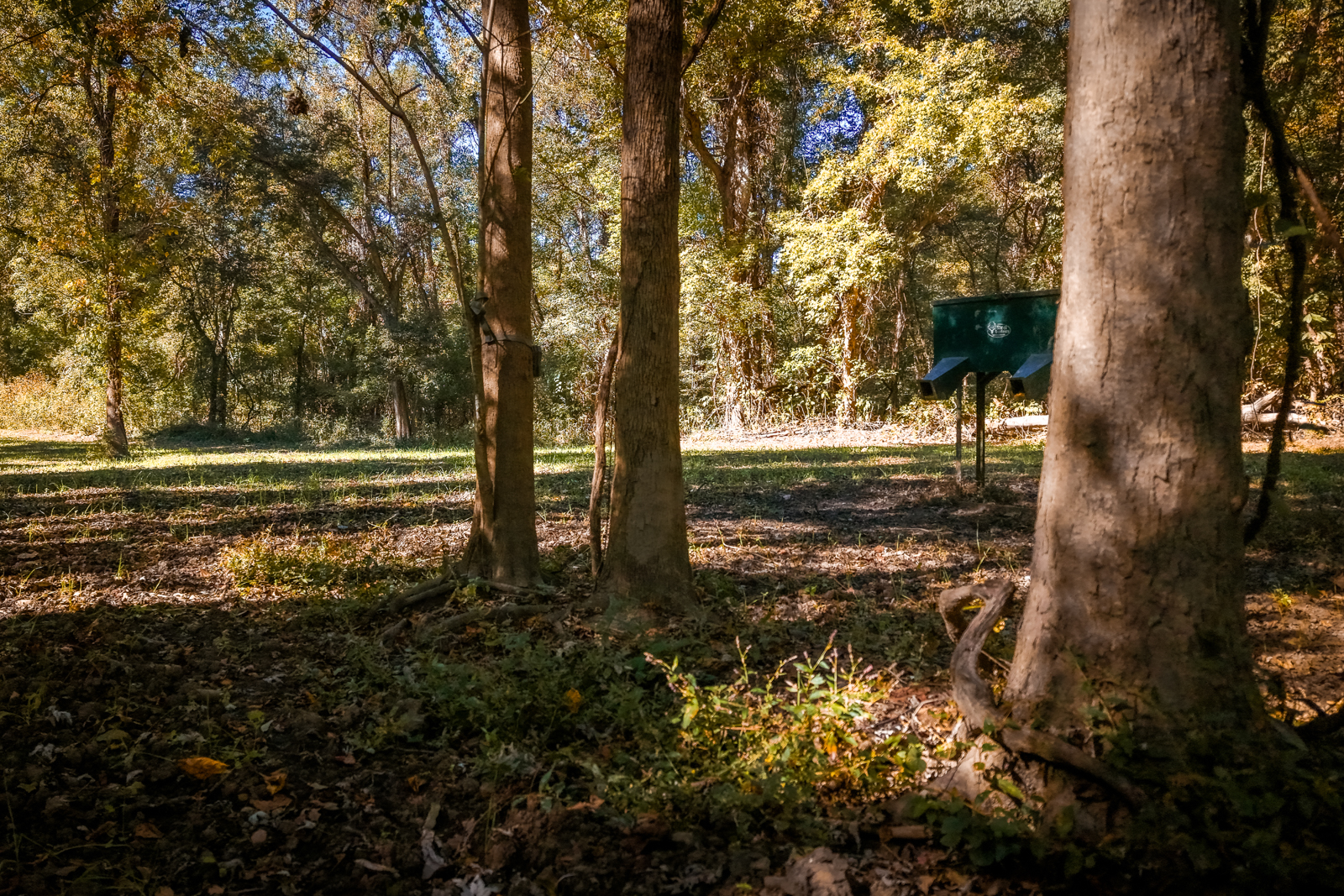 land for sale in Arkansas