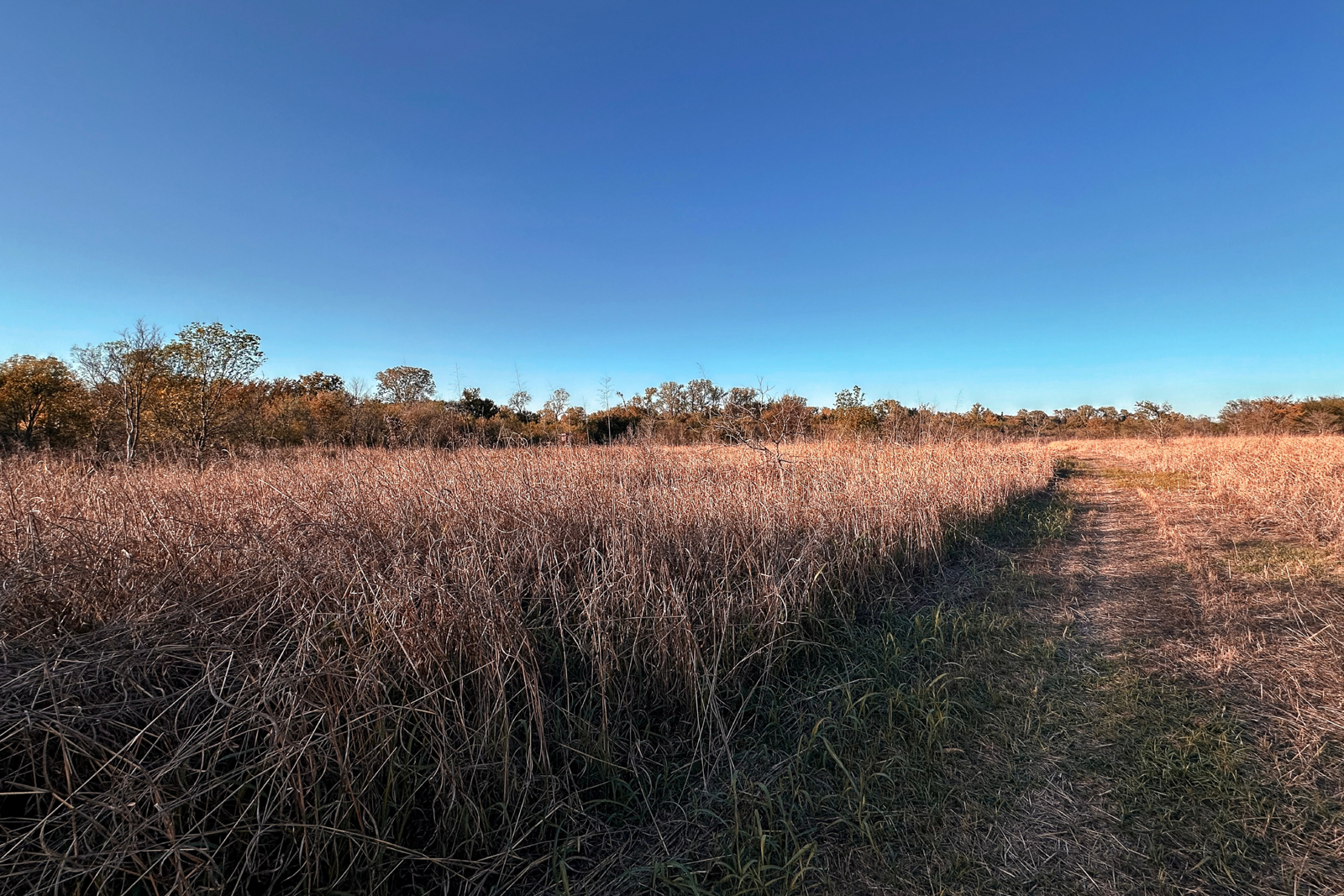 hunting land for sale in Arkansas