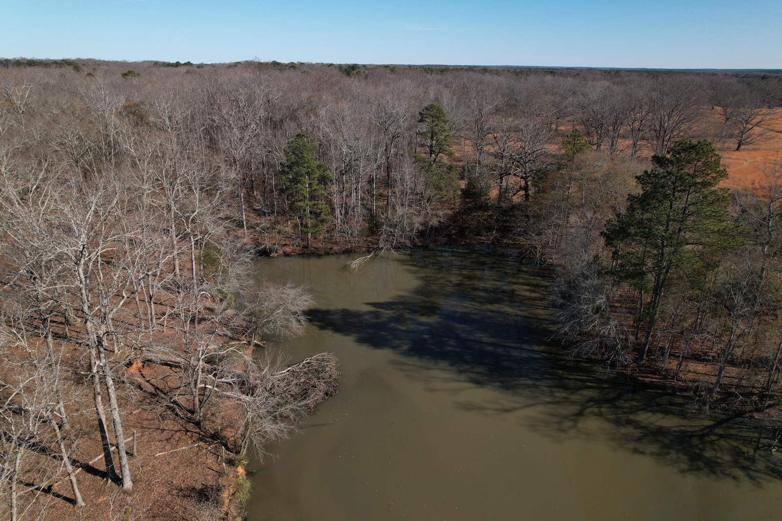 aerial view of land in Georgia for sale
